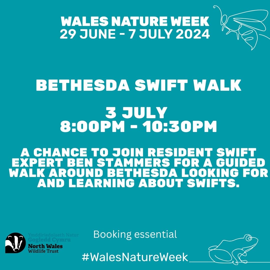Bethesda swift walk